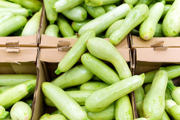 green zucchini selective focus. Organic groups background. Selective focus. Soft focus.