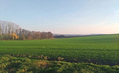 Fototapeta na wymiar Czech countryside and field in autumn