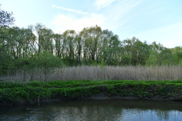 landscape view with forest and small river at sunset