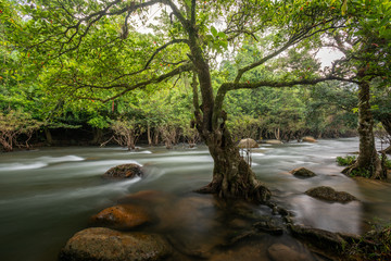 Photo of landscape in forest, forest waterfall and rocks in nature of Thailand