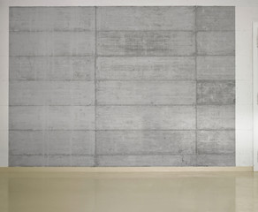 Empty bright room with concrete wall