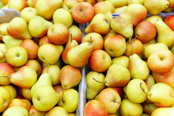 Pears harvest background on shelves in supermarket may use as background close up