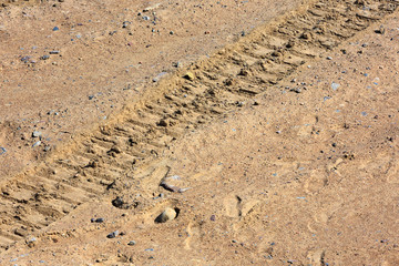 Traces of tire treads on the sand.