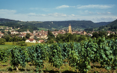 Fototapeta na wymiar Vignoble du Jura, Arbois, 39, Jura