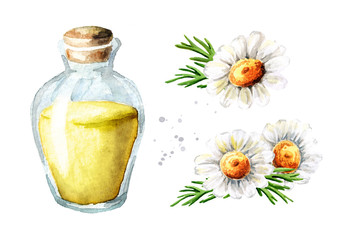 Chamomile  flower and essential oil set, Hand drawn watercolor illustration isolated on white background