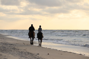 konie spacer © jerzy