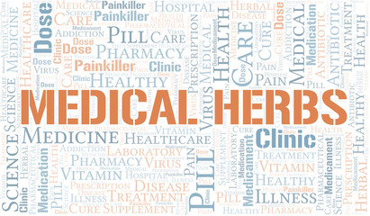 Fototapeta premium Medical Herbs word cloud collage made with text only.