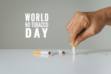 Quit smoking, no tobacco day, mother hands breaking the cigarette