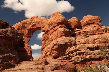 Turret Arch viewed from The Windows Trail in Arches National Park, Utah © Nikki