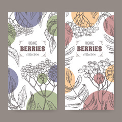 Set of two labels with Sambucus aka elderberry and Rowan aka Sorbus aucuparia branch sketch. Berry fruits series. - 348253717