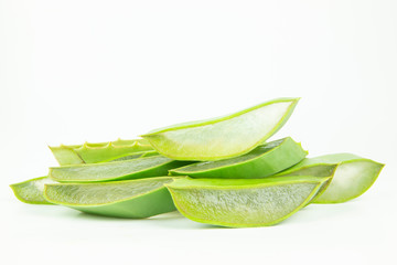 Aloe vera cut on white background see through the tissue
