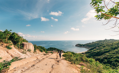 tropical beach with palm trees
