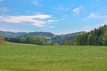 Summer landscape with mountains and blue sky