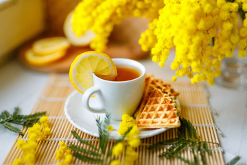 White cup of tea on a white saucer with waffles and decorated with branches of mimosa . A cup of tea is beautifully decorated with a slice of lemon. Art grain from film photography