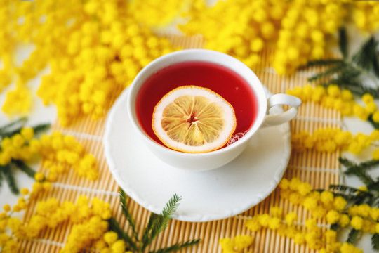 White cup of green tea with lemon standing on a white saucer. The cup around is decorated with fresh flowered spring mimosa. Art grain from film photography.