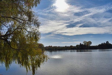 Fototapeta na wymiar Lake in the park