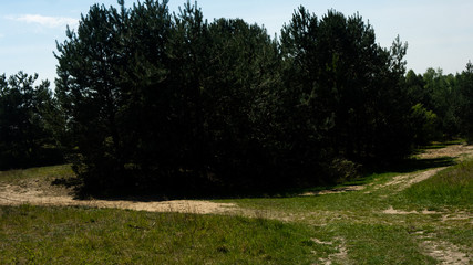 View of the Sokolich Mountains Reserve and rock stones in Olsztyn. A free space for an inscription
