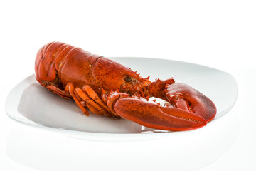 American lobster coocked and on plate.