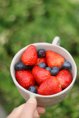 Unrecognizable person holding a bowl with straberries and blueberries in a garden. Selective focus.