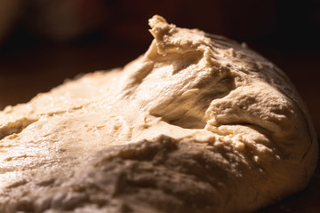 Dough close-up. Homemade sourdough with no yeast