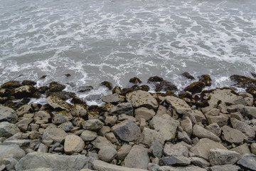 una playa de rocas con un calmado mar 