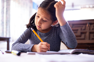 Niña toma clases en casa a causa de la contingencia