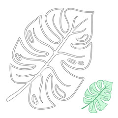 Tropical leaves hand drawn vector sketches set. Exotic plant, black ink illustrations. Outline floral design, plumeria, palm trees, ficus, fern. Monochrome floral postcard design elements for coloring