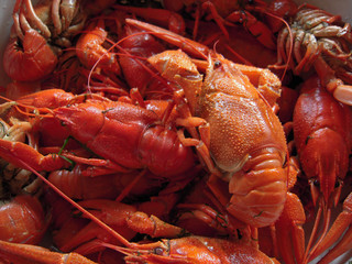Boiled crayfish plate
