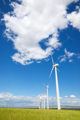 Fototapeta premium Renewable energy concept