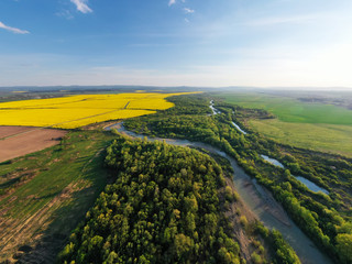 Fototapeta premium Flight through majestic river, lush green forest and blooming yellow rapeseed fields at sunset time. Landscape photography