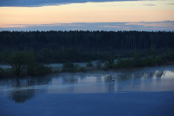 Fototapeta premium An image of a blue morning on a lake with a clear sky on the horizon, the reflection of a forest in the water in a creeping fog, and a single buoy on the surface.Peaceful landscape at dusk.Russia