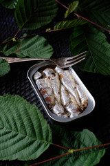 Can of sardines with black fishing net bottom