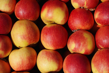 red apples background