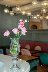 The flowers plants vase bootle decor home cafe restaraunt interior modern  