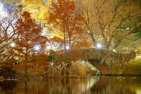 Night time image of Gapstow Bridge in New York City’s Central Park at night with lights shining through the fall colors.