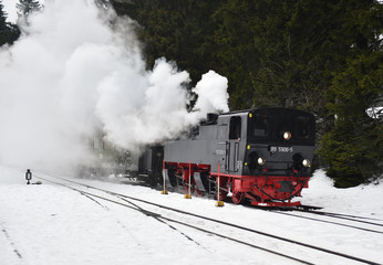 Dampflok im Harz