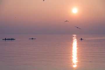 Seagulls Flying over Rowing Team Training over Shimmering Lake at Sunset