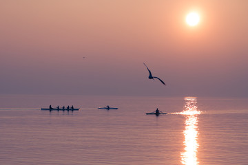 Fototapeta na wymiar Seagulls Flying over Rowing Team Training over Shimmering Lake at Sunset