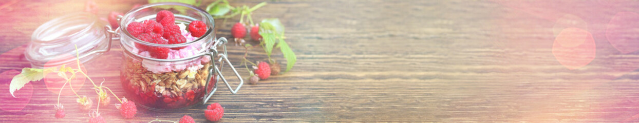 banner breakfast-muesli, granola with yogurt and fresh raspberries. Against a background of raspberry bushes.  copy space