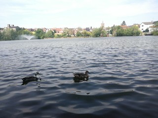 Park in Diss Town