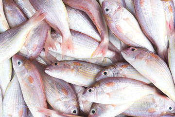 Delicious fresh fish on background. Healthy food, diet or cooking concept