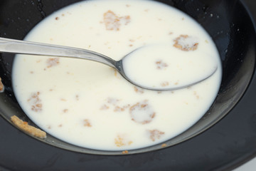 Some milk and cornflakes in a black plate. Low and hungry Close up.