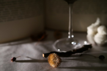 composition with an element of a wine glass on the background of an open book text with autumn dry leaves, an old clock, dry flowers, a cotton branch and stones