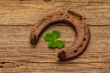 Very old cast iron metal horse horseshoe, fresh clover leaf. Good luck symbol, St.Patrick's Day concept
