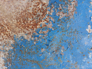 The texture of the old rusty metal sheet is partially covered with peeling blue paint.
