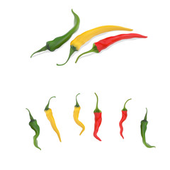 High detailed vector peppers and set of different chilis

