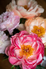 Pivoines 