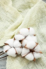 bouquet of cotton plants on a white piece of fabric