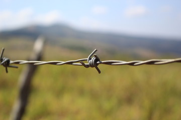 barbed wire fence