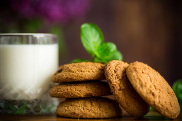 oatmeal cookies with a glass of fresh milk for breakfast